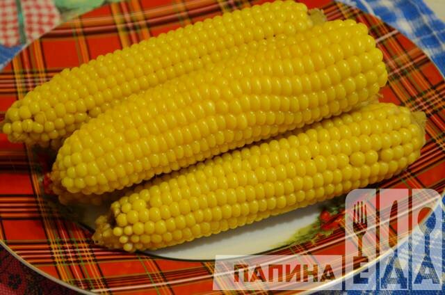 Как варить кукурузу в початках